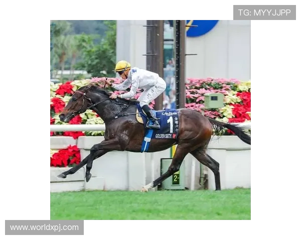 hkjc中文站：全面介绍香港赛马会官方网站的最新资讯与投注指南