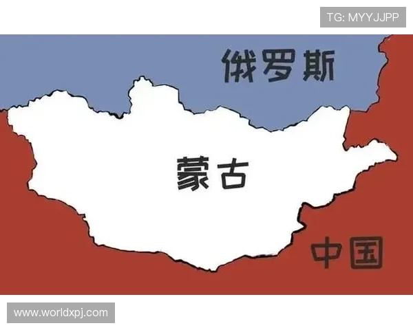 新普京在俄罗斯政治体系中的地位和作用分析以及相关政策介绍